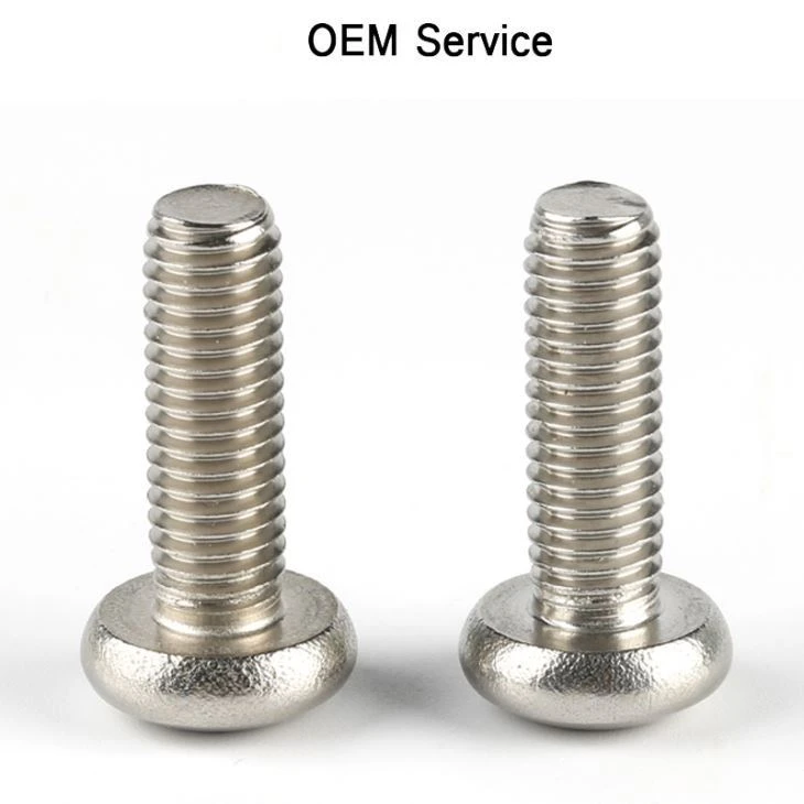 Pan Head Torx Full Thread Screw